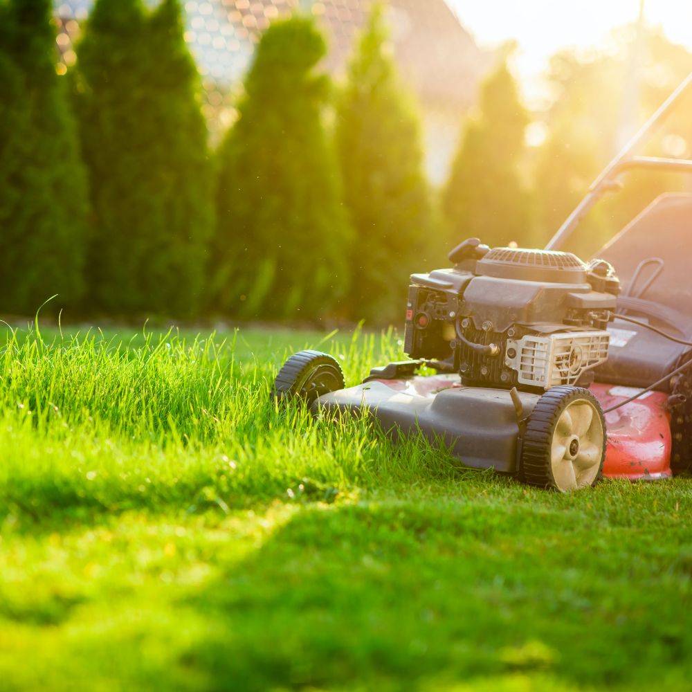 red lawn mower cutting tall grass